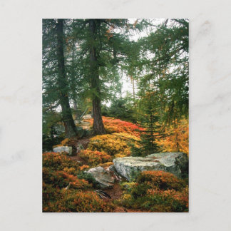 POSTAL MI VIDA NO ES ESTA HORA VERTICAL