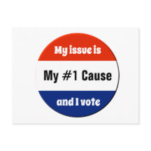 Mi voto en las elecciones