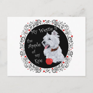 Postal Mi Westie es la niña de mis ojos