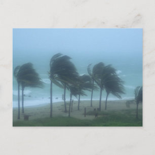 Postal Miami Beach, Florida, vientos huracanados azotando