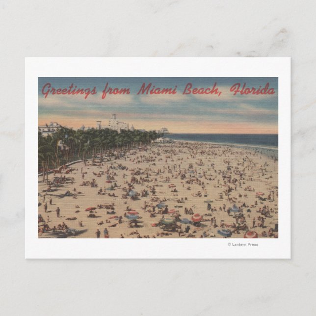 Postal Miami Beach, FloridaSaludos desde Miami, FL (Anverso)