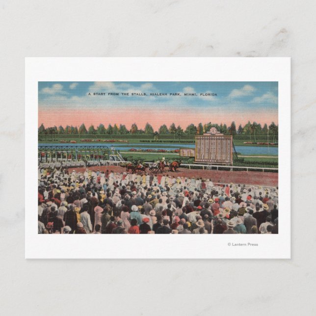 Postal Miami, FL - Vista del Parque Hialeah con caballos (Anverso)