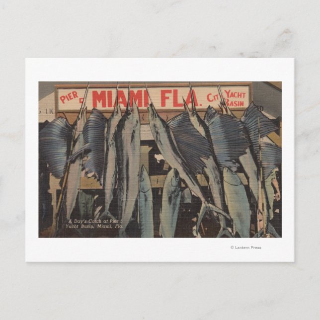 Postal Miami, FL - Vista del Pier 5 City Yacht Club con (Anverso)