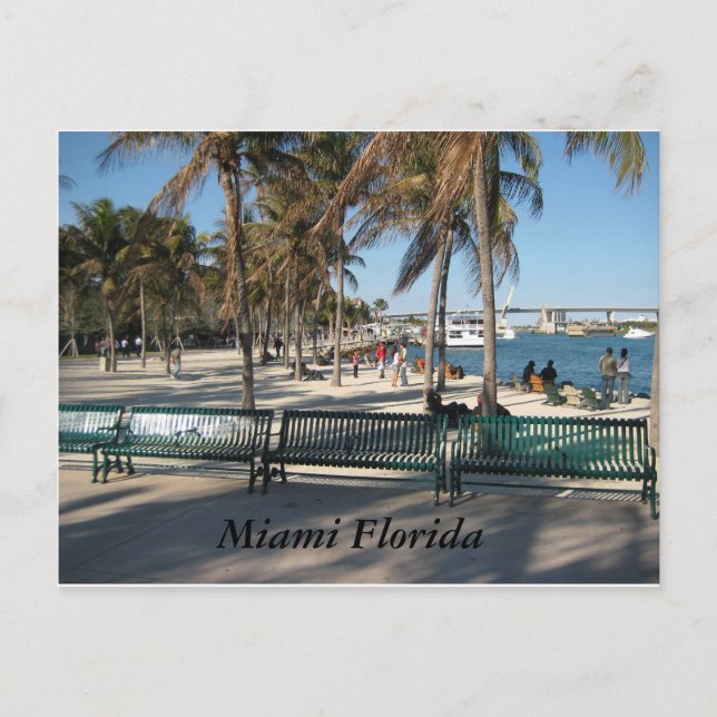 Postal Miami Florida (Anverso)