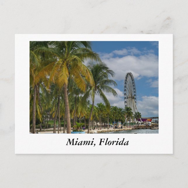 Postal Miami Florida y la Bahía de Biscayne (Anverso)