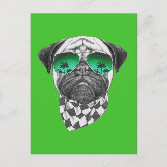 Postal Miami Pug (Anverso)