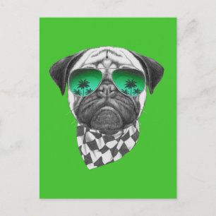 Postal Miami Pug
