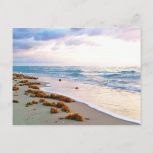 Postal Miami South Beach