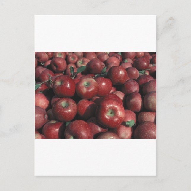 Postal Michigan Apples (Anverso)