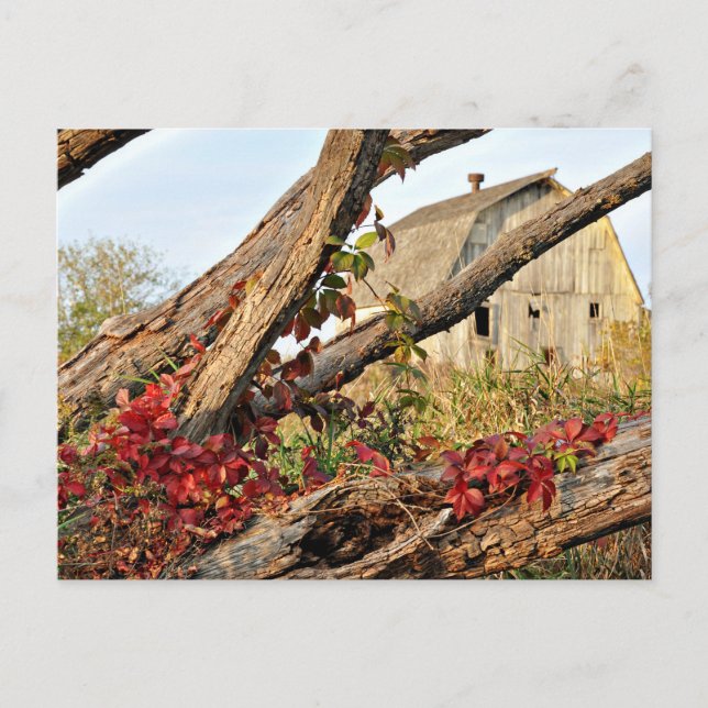 Postal Michigan Barn and Fall Color (Anverso)