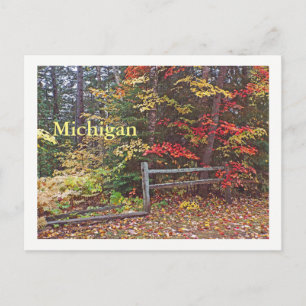 POSTAL "MICHIGAN"/CERCADO DE RIELES PARTIDOS Y COLORES DE