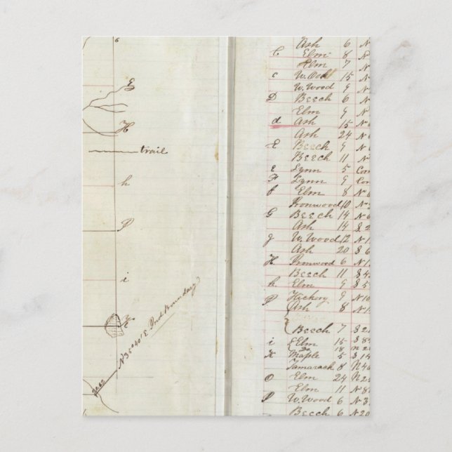 Postal Michigan e Indiana 2 (Anverso)