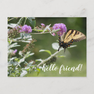 Postal Michigan Eastern Swallowtail Butfly