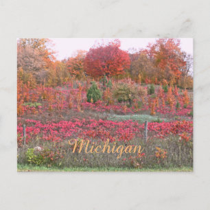 POSTAL "MICHIGAN HILLSIDE AFLAME CON COLOR"