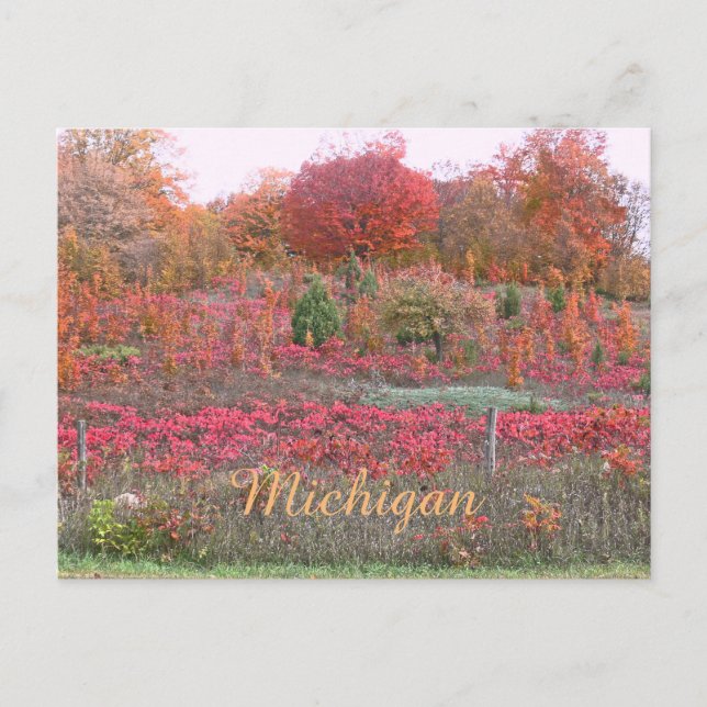 POSTAL "MICHIGAN HILLSIDE AFLAME CON COLOR" (Anverso)