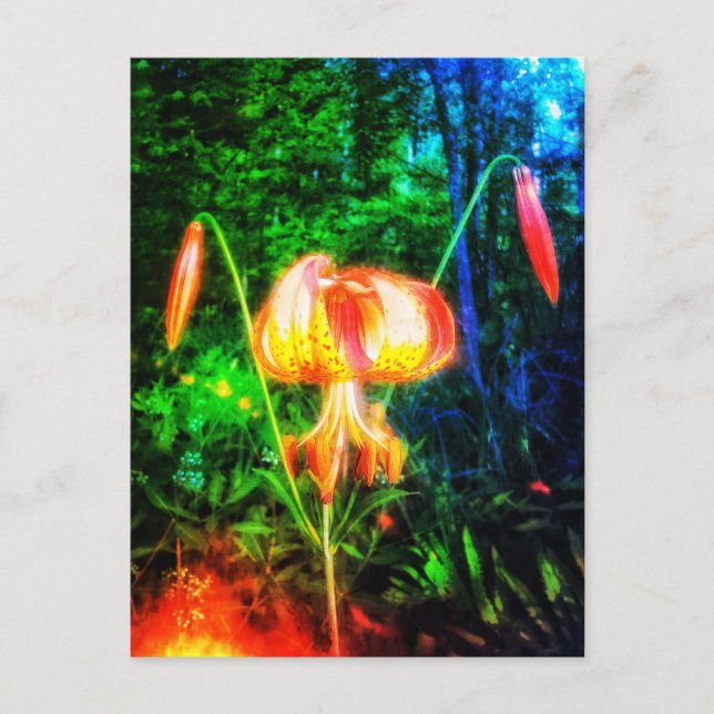 POSTAL MICHIGAN LILY POSTCARD (Anverso)