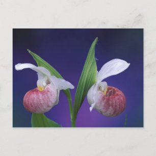 Postal Michigan, Parque Nacional Bruce Peninsula.Asombros