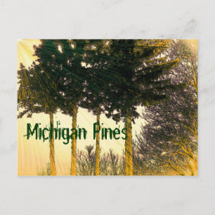 Postal Michigan Pines Postcard
