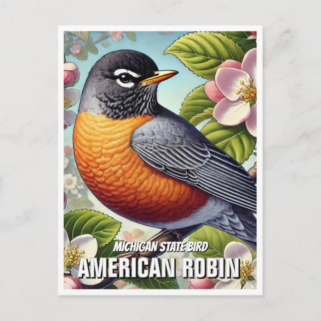 Postal Michigan State Bird American Robin (Anverso)