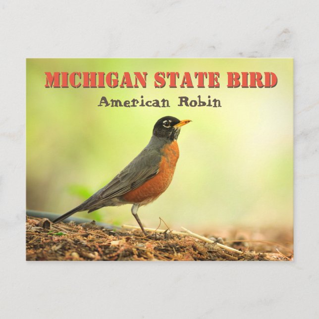 Postal Michigan State Bird Robin (Anverso)