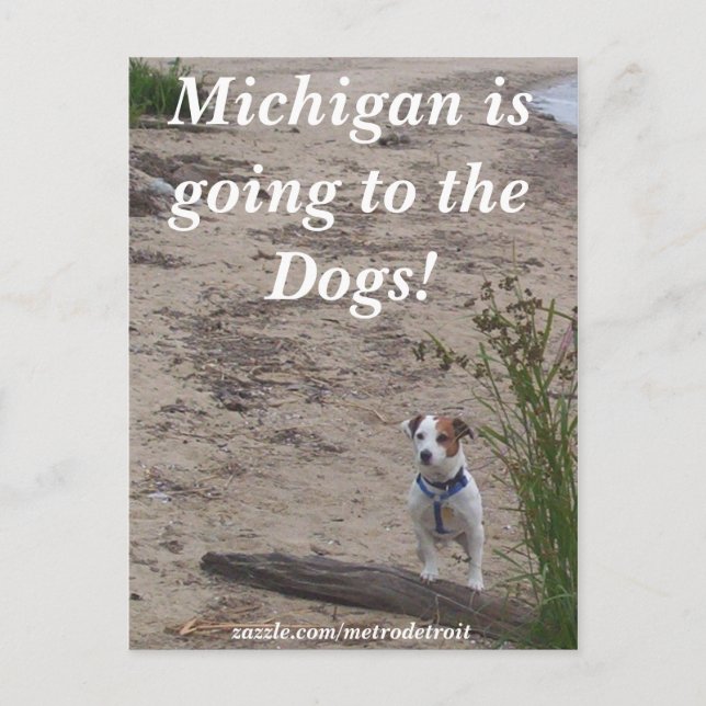 Postal ¡Michigan va a los perros! (Anverso)