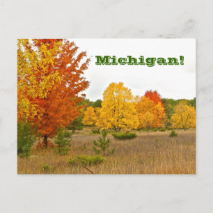 postal "MICHIGAN VIVE CON COLOR VIBRANTE"