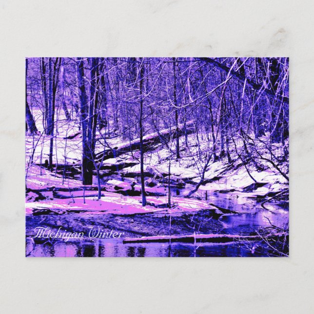 Postal Michigan Winter (Anverso)