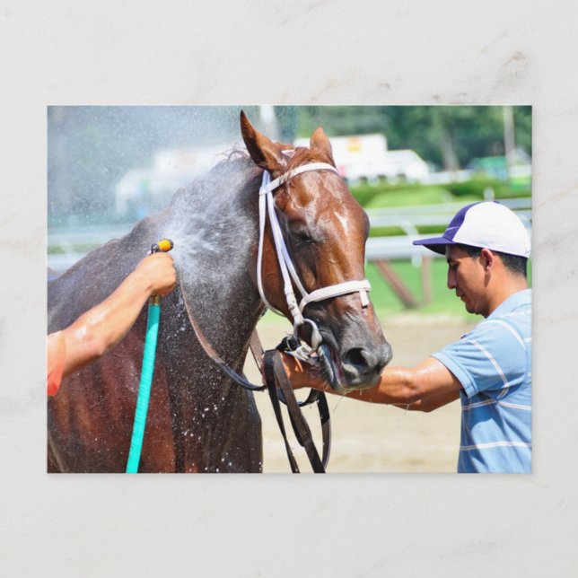 Postal Michonne (Anverso)