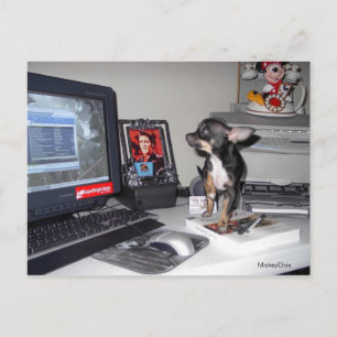 Postal MickeyElvis 1