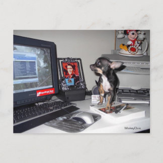 Postal MickeyElvis 1