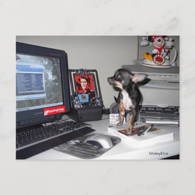 Postal MickeyElvis 1 (Anverso)