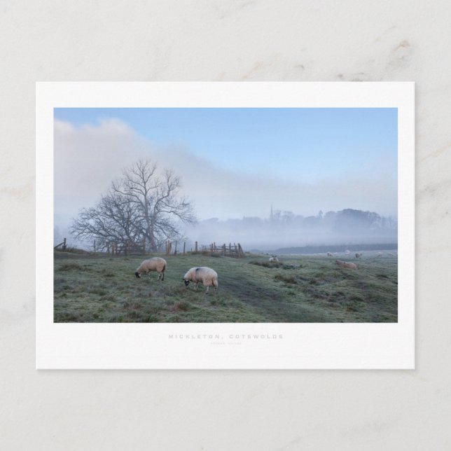 Postal Mickleton, Cotswolds (Anverso)