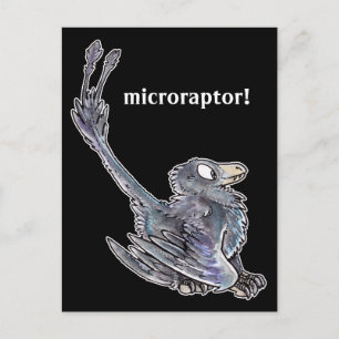 Postal Microraptor Postcard