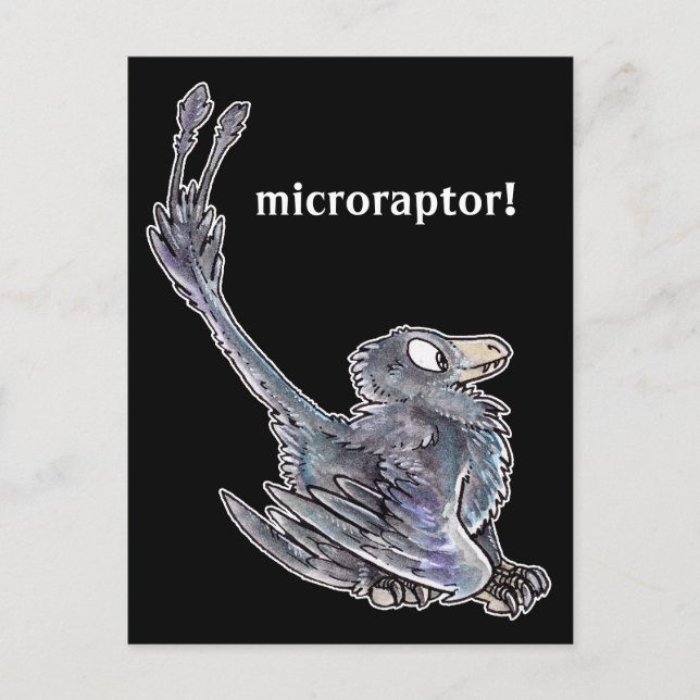 Postal Microraptor Postcard (Anverso)