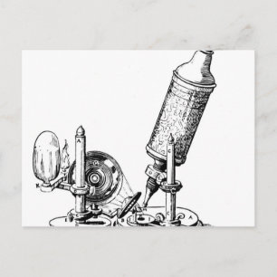 Postal Microscopio de Robert Hooke