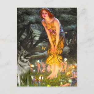 Postal MidEve - Norsk Elghund