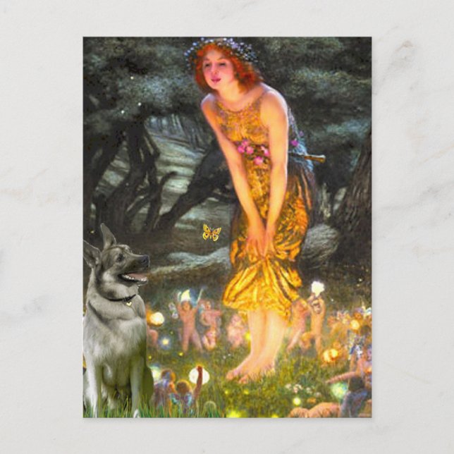 Postal MidEve - Norsk Elghund (Anverso)