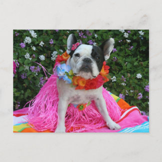 Postal Midge hawaiano