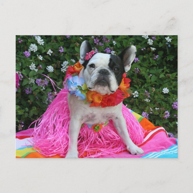 Postal Midge hawaiano (Anverso)