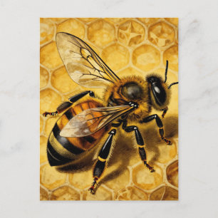 Postal Miel de abeja Panal Dorado Naturaleza