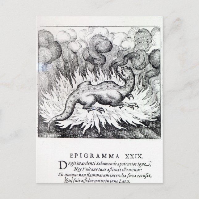 Postal Mientras el salamandra vive en llamas (Anverso)