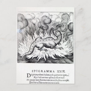 Postal Mientras el salamandra vive en llamas