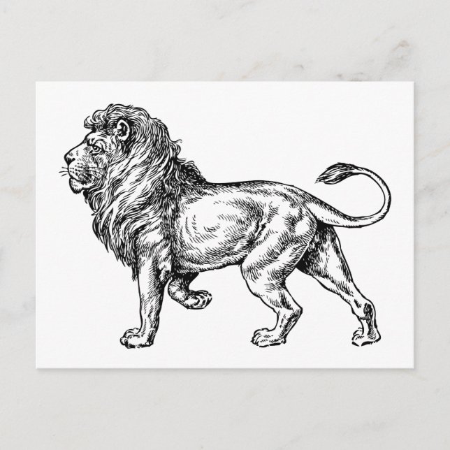 Postal Mighty Lion Sketch (Anverso)