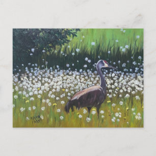 Postal Migrando grullas de Sandhill