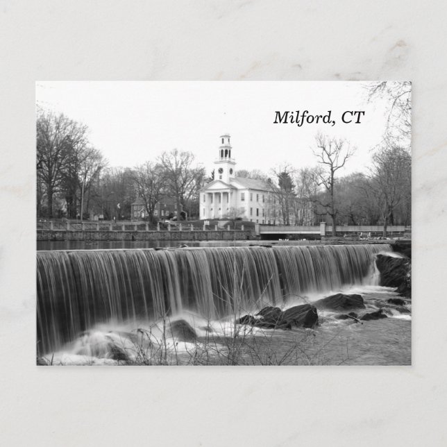 Postal Milford, CT Duckpond Postcard (Anverso)