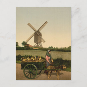 Postal Milkmaid belga vintage (Laitière Belge)