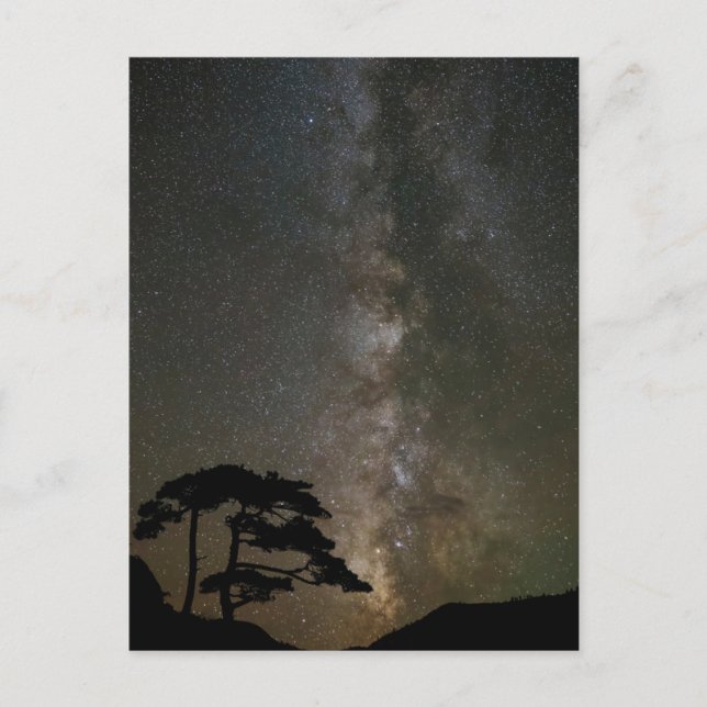 Postal Milky Way with Tree | Ouray Colorado (Anverso)