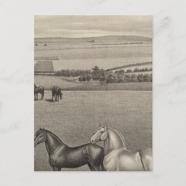 Postal Mill Brae Ranch, Kansas (Anverso)