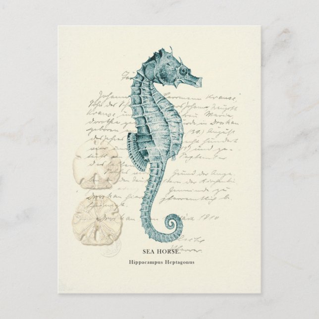 Postal Milla Nautica (Anverso)