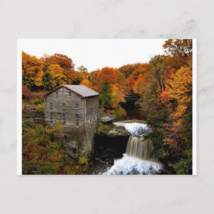 Postal Millo de Lanterman en otoño
